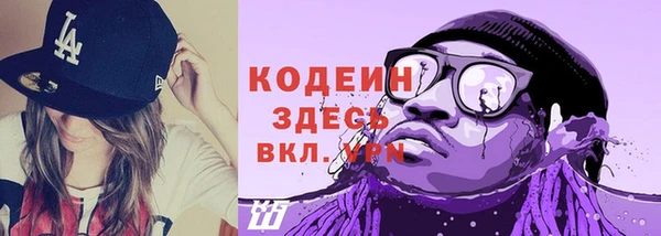 шишки Абаза