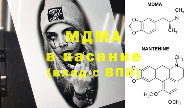 шишки Абаза