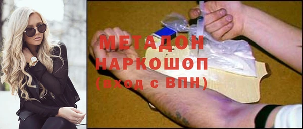 шишки Абаза