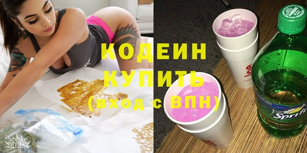 шишки Абаза