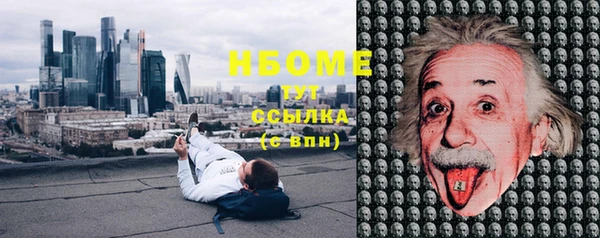 шишки Абаза