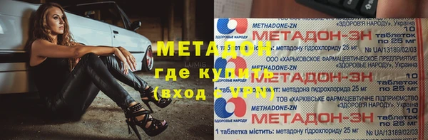 шишки Абаза