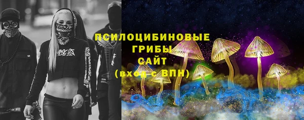 крисы Абинск