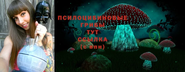 шишки Абаза