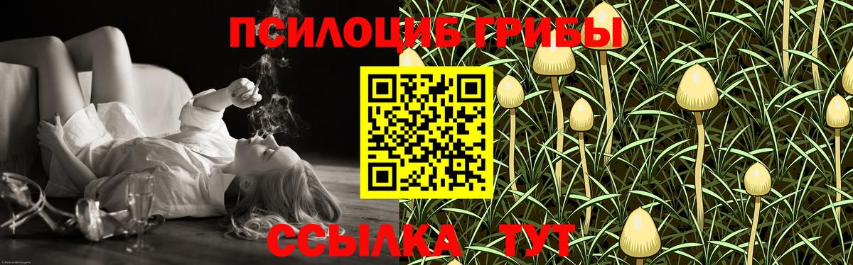Шебекино  Псилоцибиновые грибы мицелий  Вход с VPN 